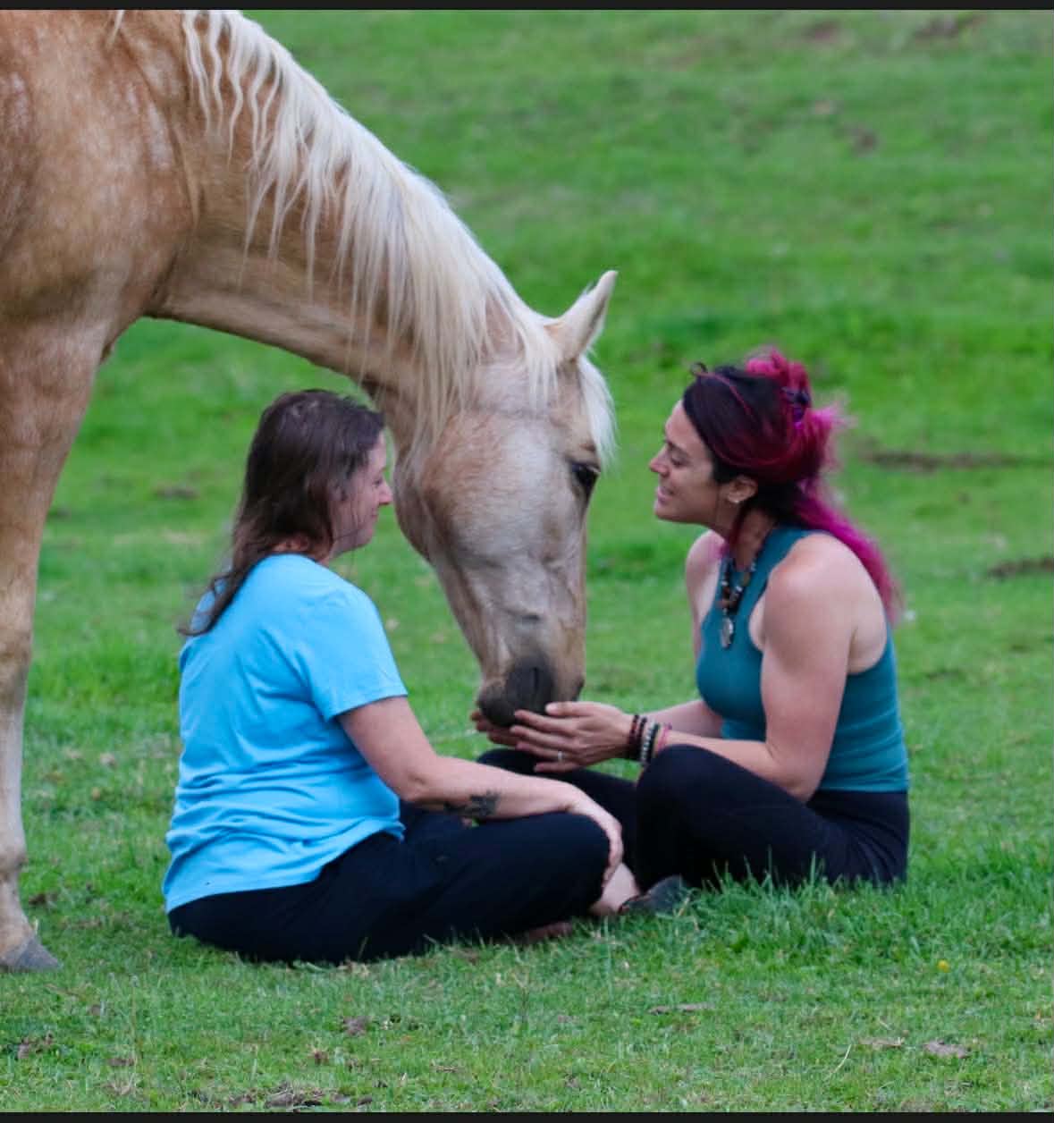 Participants sharing a quiet moment with a horse
