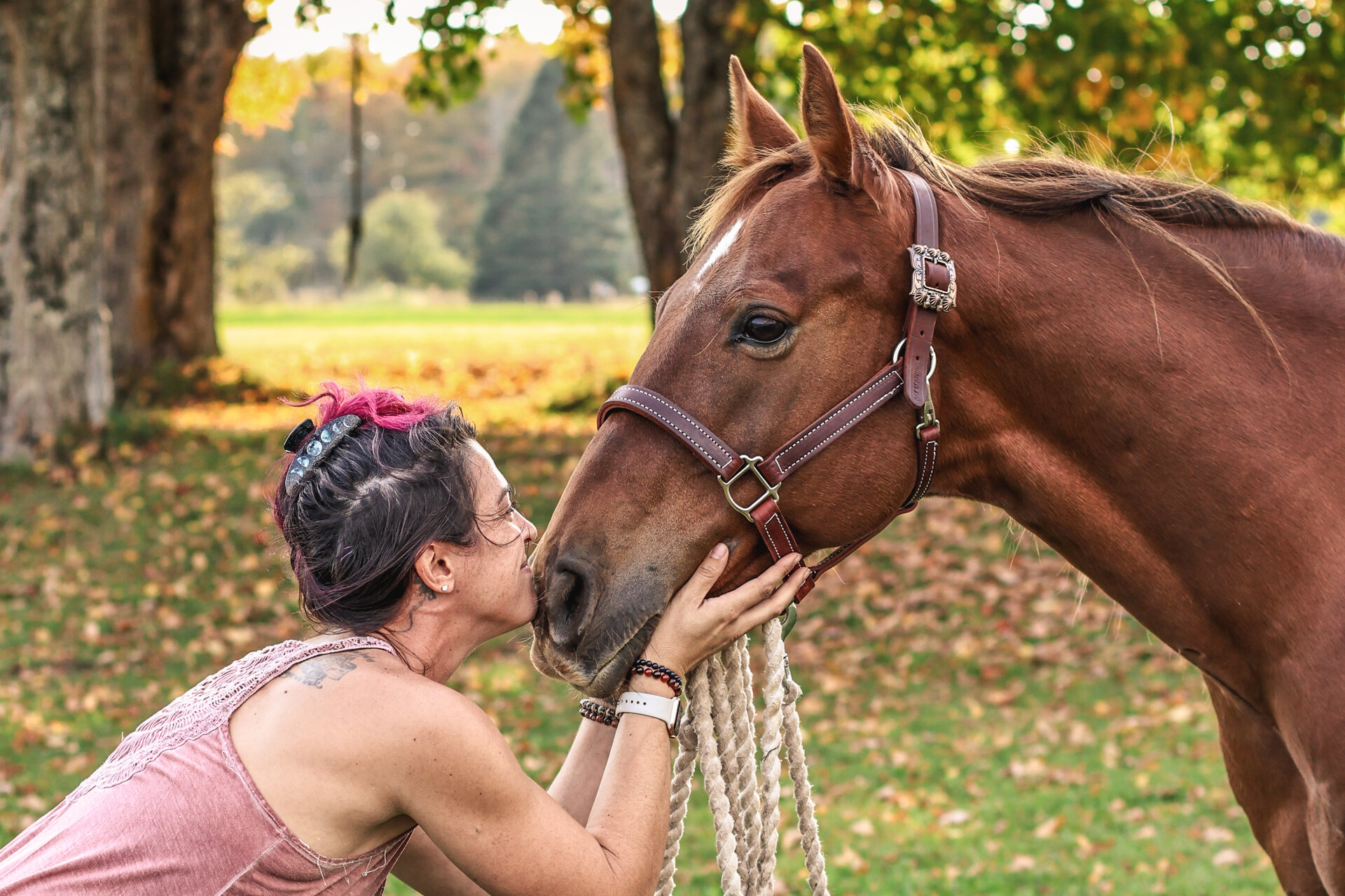SHAkti Equine Services: equine bodywork session