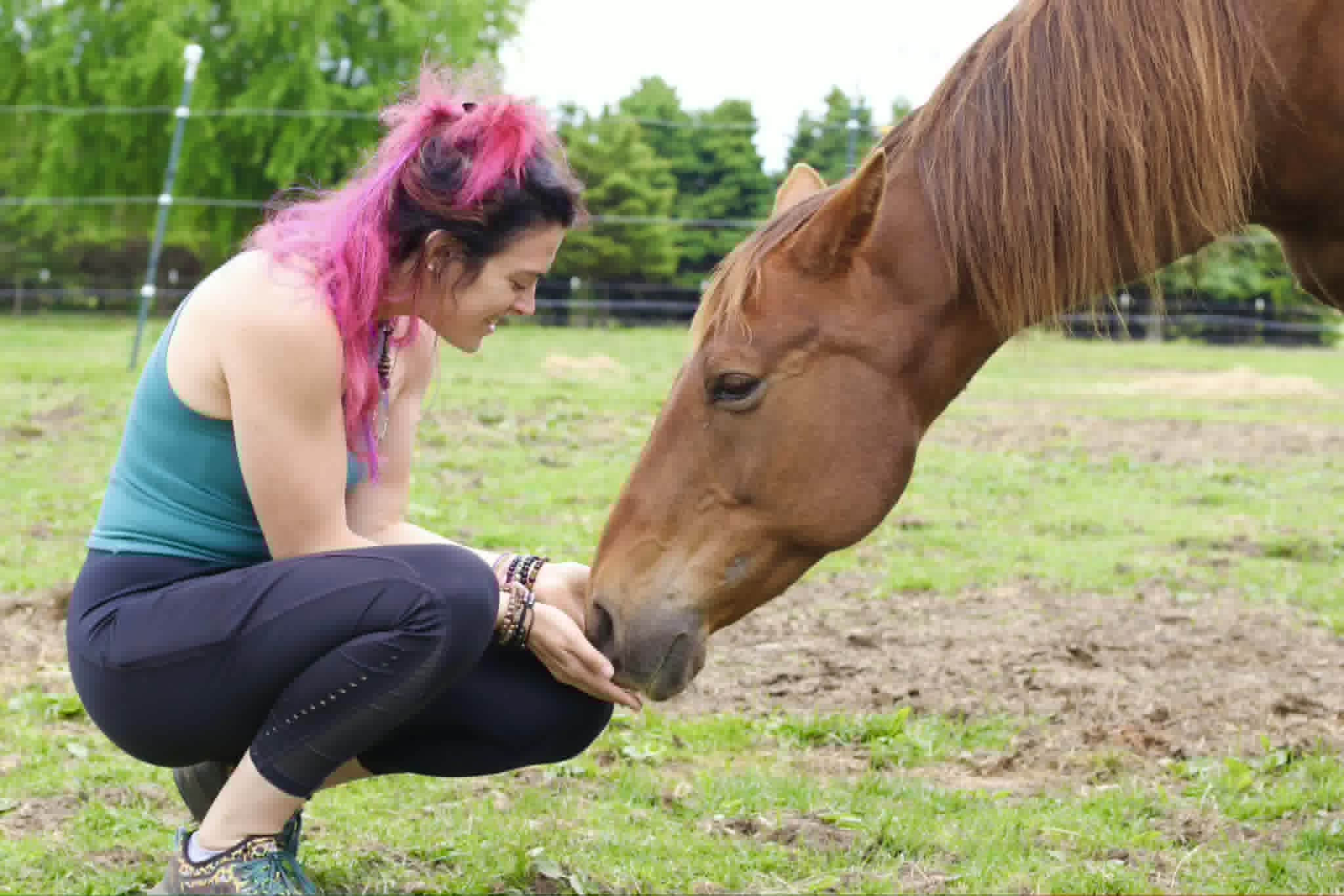 SHAkti equine work